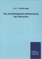 J H F Kohlbrugge, J. H. F. Kohlbrugge - Die morphologische Abstammung des Menschen