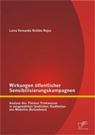 Luisa F. Roldán Rojas, Luisa Fernanda Roldán Rojas - Wirkungen öffentlicher Sensibilisierungskampagnen