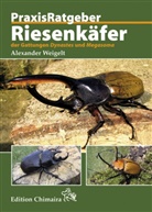 Alexander Weigelt - Riesenkäfer der Gattungen Dynastes und Megasoma