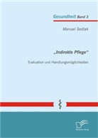 Manuel Sedlak - Indirekte Pflege: Evaluation und Handlungsmöglichkeiten