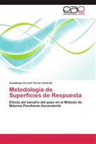 Guadalupe Araceli Torres Valverde - Metodología de Superficies de Respuesta