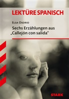 Elsa Osorio - Sechs Erzählungen aus "Callejón con salida"