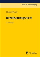 Ham, Raine Hamm, Rainer Hamm, Hasseme, Winfrie Hassemer, Winfried Hassemer... - Beweisantragsrecht