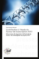 Pierre-Jacques Hamard, Hamard-p - Contribution a l etude du facteur