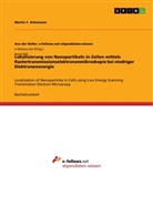 Martin F Schumann, Martin F. Schumann - Lokalisierung von Nanopartikeln in Zellen mittels Rastertransmissionselektronenmikroskopie bei niedriger Elektronenenergie