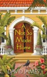 David James - A Not So Model Home
