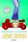 Jane Green - Promesas por cumplir