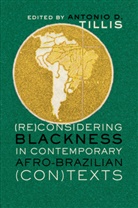 Antonio D. Tillis, Antoni D Tillis, Antonio D Tillis, Antonio D. Tillis, Tillis Antonio D. - (Re)Considering Blackness in Contemporary Afro-Brazilian (Con)Texts