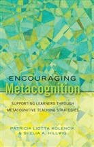 Shelia Hillwig, Shelia A Hillwig, Shelia A. Hillwig, Patricia Liott Kolencik, Patricia Liotta Kolencik, Greg S Goodman - Encouraging Metacognition