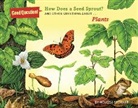 Stewart, Melissa Stewart, Schwartz, Carol Schwartz - How Does a Seed Sprout?