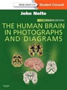 Jay B. Angevine, John Nolte - The Human Brain in Photographs and Diagrams