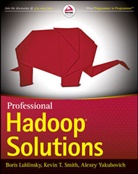 Bori Lublinsky, Boris Lublinsky, Boris Smith Lublinsky, Kevin Smith, Kevin T Smith, Kevin T. Smith... - Professional Hadoop Solutions