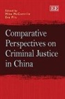 Mike Pils Mcconville, Mike/ Pils McConville, Mike Mcconville, Eva Pils - Comparative Perspectives on Criminal Justice in China
