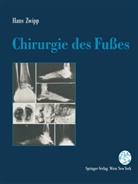 Hans Zwipp - Chirurgie des Fußes