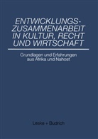 Volke Nienhaus, Volker Nienhaus - Entwicklungszusammenarbeit in Kultur, Recht und Wirtschaft