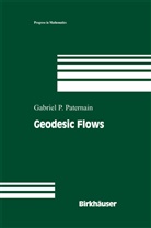 Gabriel P Paternain, Gabriel P. Paternain - Geodesic Flows