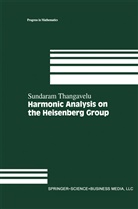 Sundara Thangavelu, Sundaram Thangavelu - Harmonic Analysis on the Heisenberg Group
