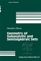 Masahiro Shiota - Geometry of Subanalytic and Semialgebraic Sets