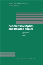 Ferruccio Colombini, Ferruci Colombini, Ferrucio Colombini, Lerner, Lerner, Nicolas Lerner - Geometrical Optics and Related Topics