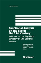 Simon Gindikin, Jame Lepowsky, James Lepowsky, Robert Wilson - Functional Analysis on the Eve of the 21st Century