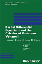 COLOMBIN, COLOMBINI, Colombini, MARIN, Marino, Marino... - Partial Differential Equations and the Calculus of Variations