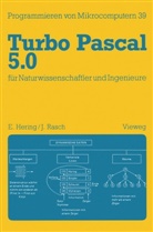 Ekbert Hering, Joachim Rasch - Turbo Pascal 5.0 für Naturwissenschaftler und Ingenieure