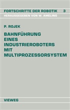 Peter Rojek - Bahnführung Eines Industrieroboters mit Multiprozessorsystem