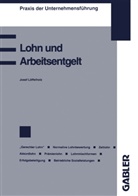 Josef Löffelholz - Lohn und Arbeitsentgelt