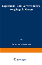 Wilhelm Jost - Explosions- und Verbrennungsvorgänge in Gasen