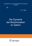 E Sepp, E. Sepp, Foerster, O Foerster, O. Foerster, Wilmanns... - Die Dynamik der Blutzirkulation im Gehirn
