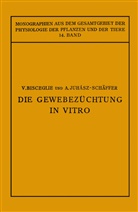 Bisceglie, V Bisceglie, V. Bisceglie, A. Juhaasz-Sch¿er, A Juhaasz-Schäffer, A. Juhaasz-Schäffer... - Die Gewebezüchtung in Vitro