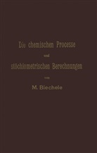 Max Biechele - Die chemischen Processe und stöchiometrischen Berechnungen bei den Prüfungen und Wertbestimmungen der im Arzneibuche für das Deutsche Reich (vierte Ausgabe) aufgenommenen Arzneimittel