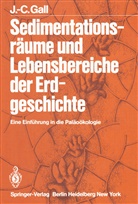 J -C Gall, J. -C. Gall, J.-C. Gall - Sedimentationsräume und Lebensbereiche der Erdgeschichte