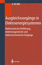 Amir M Miri, Amir M. Miri - Ausgleichsvorgänge in Elektroenergiesystemen