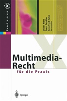 Heinfried Hahn, Oliver Merx, Erns Tandler, Ernst Tandler - Multimedia-Recht für die Praxis