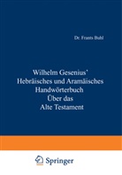 Wilhel Gesenius, Wilhelm Gesenius, Weber Max, W Müller, W Max u a Müller, W u a Müller... - Hebräisches und Aramäisches Handwörterbuch über das Alte Testament