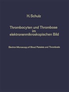 Heribert Schulz - Thrombocyten und Thrombose im elektronenmikroskopischen Bild / Electron Microscopy of Blood Platelets and Thrombosis