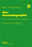 Peter J. Baugh, Werne Engewald, Werner Engewald, Hans G Struppe - Gaschromatographie