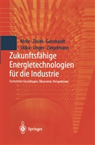 Dirk Gernhardt, Dirk u a Gernhardt, Marku Mohr, Markus Mohr, Martin Skiba, Hermann Unger... - Zukunftsfähige Energietechnologien für die Industrie