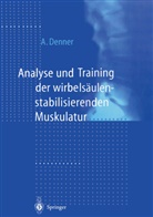 Achim Denner - Analyse und Training der wirbelsäulenstabilisierenden Muskulatur