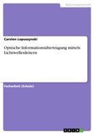 Carsten Lopuszynski - Optische Informationsübertragung mittels Lichtwellenleitern