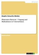 Brigitte Schweifer-Winkler - Phänomen Burnout - Umgang und Maßnahmen in Unternehmen