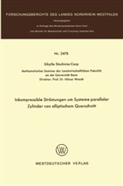 Sibylle Stachniss-Carp - Inkompressible Strömungen um Systeme paralleler Zylinder von elliptischem Querschnitt
