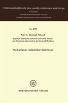 Christoph R¿chardt, Christoph Rüchardt - Mechanismen radikaler Reaktionen
