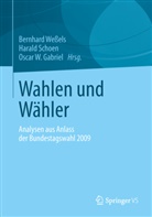 Oscar W. Gabriel, Haral Schoen, Harald Schoen, Oscar W Gabriel, Bernhard Weßels - Wahlen und Wähler
