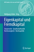 Wolfgan Schön, Wolfgang Schön - Eigenkapital und Fremdkapital