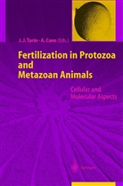 Cano, Cano, Antonio Cano, Jua J Tarin, Juan J Tarin, Juan J. Tarin - Fertilization in Protozoa and Metazoan Animals