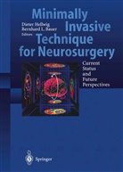 Bernhard L. Bauer, Diete Hellwig, Dieter Hellwig, L Bauer, L Bauer - Minimally Invasive Techniques for Neurosurgery