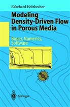 Ekkehard O Holzbecher, Ekkehard O. Holzbecher - Modeling Density-Driven Flow in Porous Media