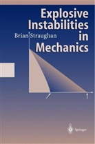 Brian Straughan - Explosive Instabilities in Mechanics